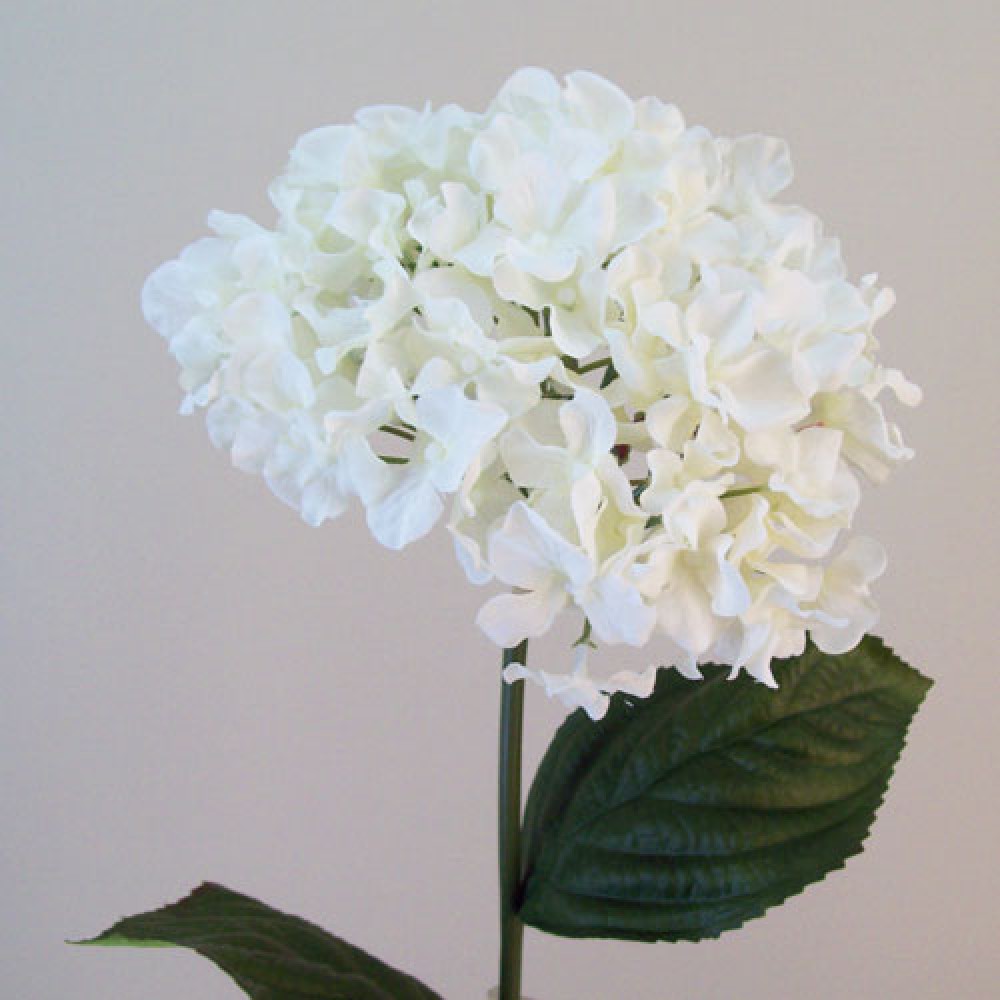 Artificial Hydrangeas Macrophylla Cream 68cm Artificial Flowers
